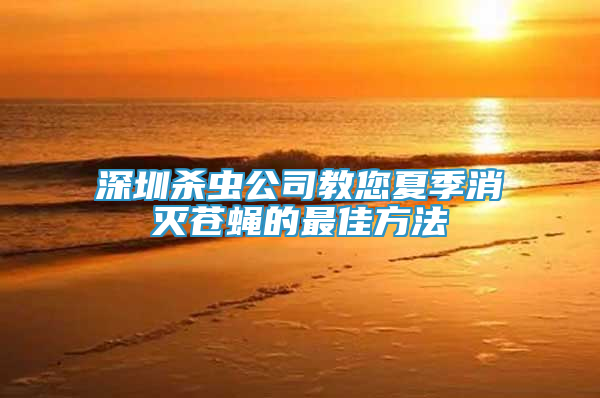 深圳殺蟲公司教您夏季消滅蒼蠅的最佳方法