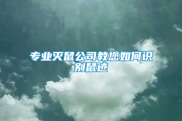 專業(yè)滅鼠公司教您如何識別鼠跡