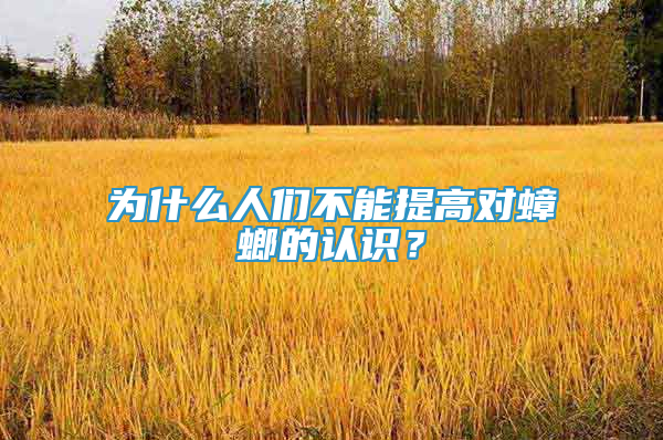 為什么人們不能提高對(duì)蟑螂的認(rèn)識(shí)？