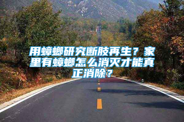 用蟑螂研究斷肢再生？家里有蟑螂怎么消滅才能真正消除？