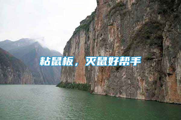 粘鼠板，滅鼠好幫手