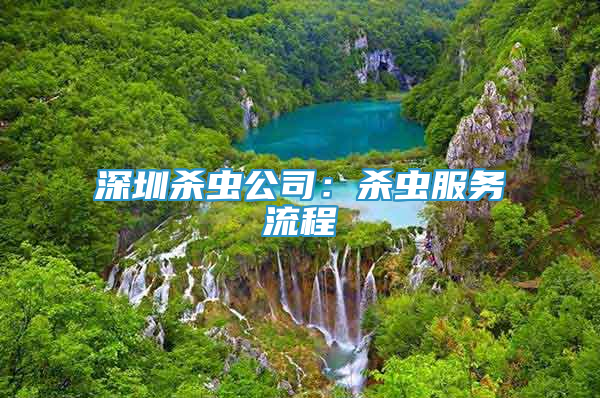 深圳殺蟲公司：殺蟲服務(wù)流程