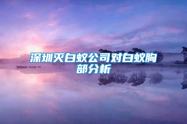 深圳滅白蟻公司對白蟻胸部分析