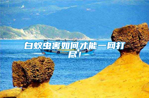 白蟻蟲害如何才能一網(wǎng)打盡！