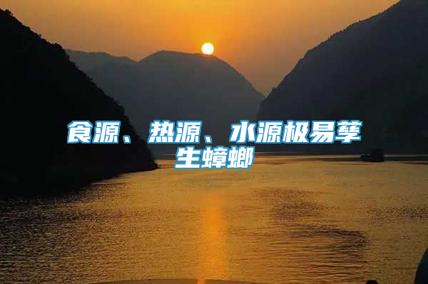 食源、熱源、水源極易孳生蟑螂