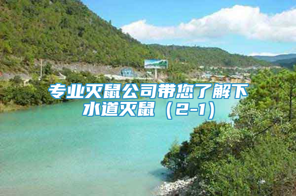 專業(yè)滅鼠公司帶您了解下水道滅鼠（2-1）