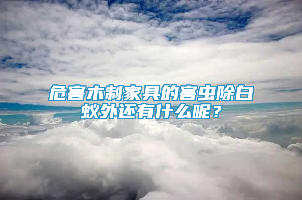 危害木制家具的害蟲除白蟻外還有什么呢？