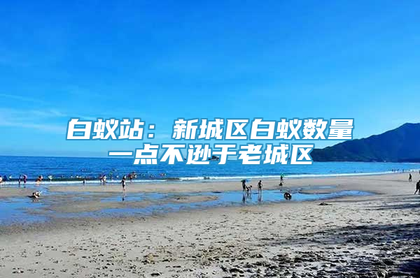 白蟻站：新城區(qū)白蟻數(shù)量一點(diǎn)不遜于老城區(qū)