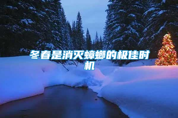 冬春是消滅蟑螂的極佳時(shí)機(jī)