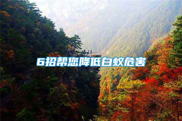 6招幫您降低白蟻危害