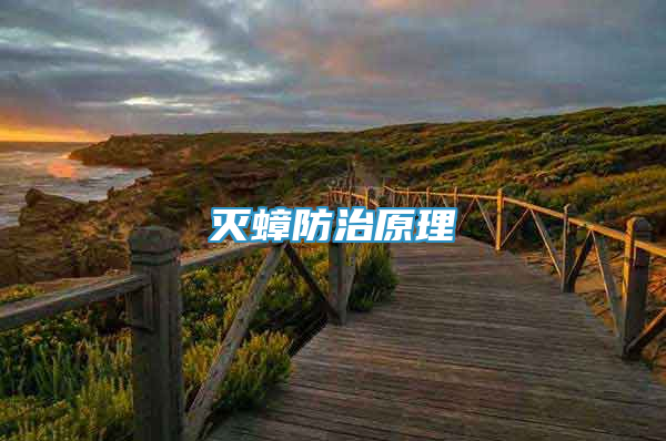 滅蟑防治原理