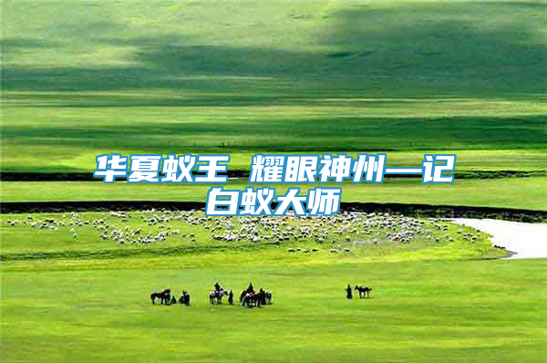 華夏蟻王 耀眼神州—記白蟻大師