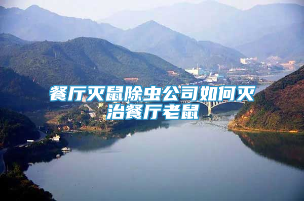 餐廳滅鼠除蟲(chóng)公司如何滅治餐廳老鼠