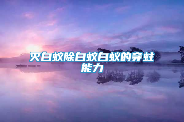 滅白蟻除白蟻白蟻的穿蛀能力