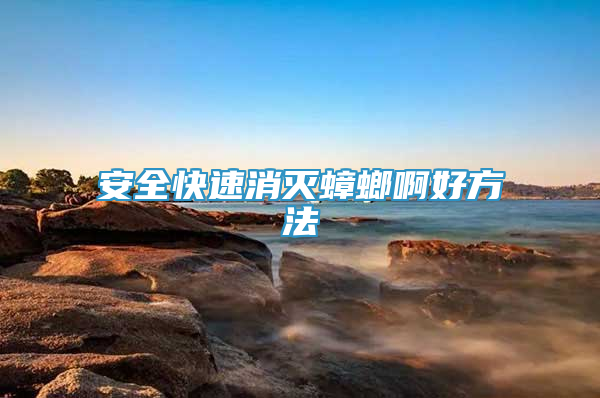 安全快速消滅蟑螂啊好方法