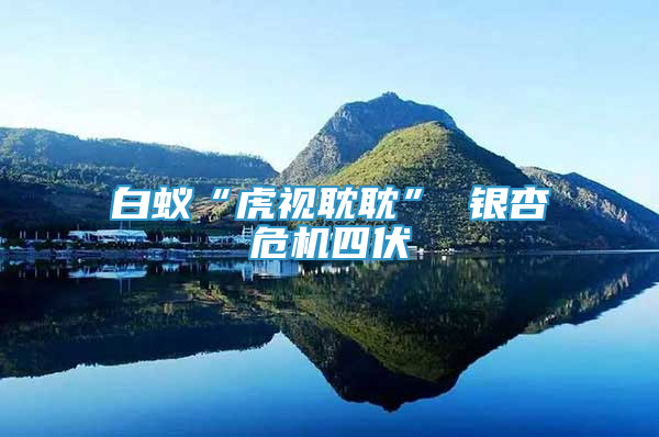 白蟻“虎視耽耽” 銀杏危機(jī)四伏