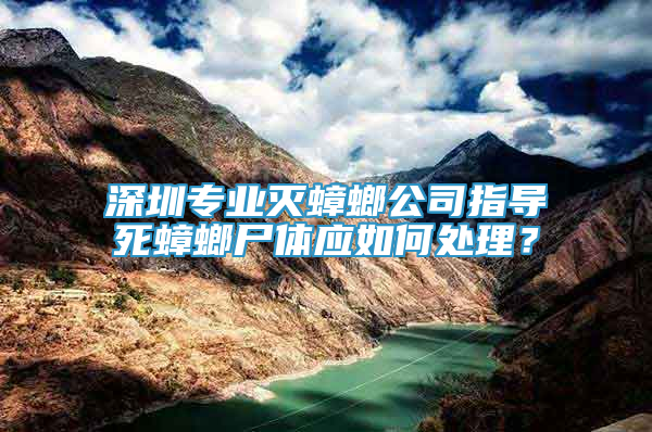 深圳專業(yè)滅蟑螂公司指導(dǎo)死蟑螂尸體應(yīng)如何處理？