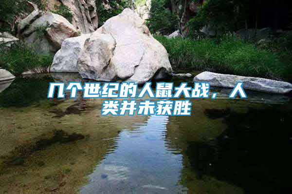 幾個(gè)世紀(jì)的人鼠大戰(zhàn)，人類并未獲勝