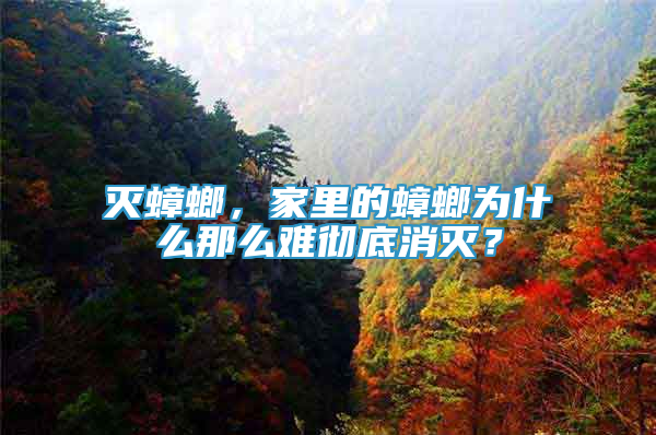 滅蟑螂，家里的蟑螂為什么那么難徹底消滅？