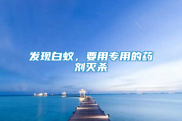 發(fā)現(xiàn)白蟻，要用專用的藥劑滅殺