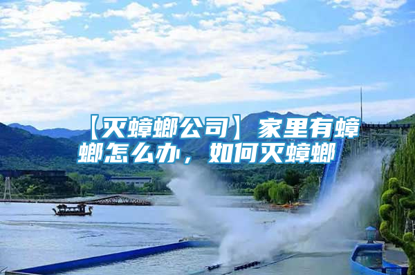 【滅蟑螂公司】家里有蟑螂怎么辦，如何滅蟑螂