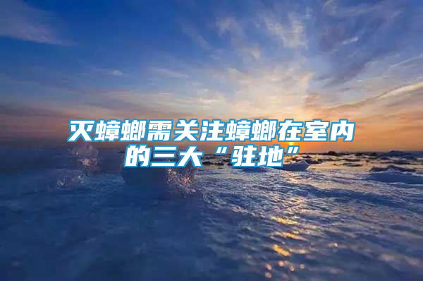 滅蟑螂需關(guān)注蟑螂在室內(nèi)的三大“駐地”