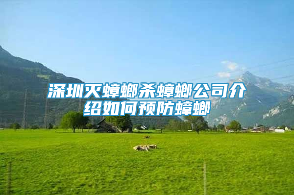 深圳滅蟑螂殺蟑螂公司介紹如何預(yù)防蟑螂