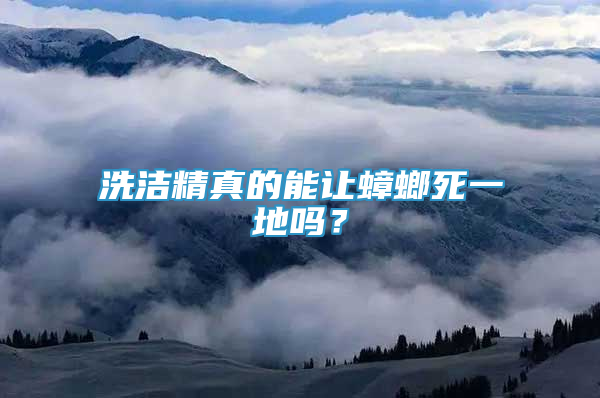 洗潔精真的能讓蟑螂死一地嗎？