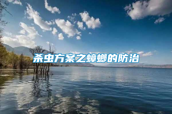 殺蟲方案之蟑螂的防治