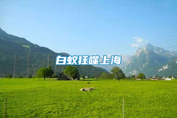 白蟻狂噬上海