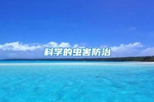 科學(xué)的蟲(chóng)害防治