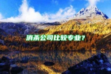 消殺公司比較專業(yè)？