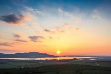 面包房蟲害控制解決方案