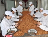 四害消殺：食品、加工行業(yè)