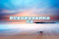 常見家庭糧蟲蟲害的防治方法
