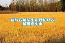 移門衣柜防蟲小妙招讓衣柜遠離蟲害