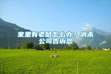 家里有老鼠怎么辦？消殺公司告訴您