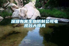 深圳有害生物防制公司電視臺(tái)大曝光