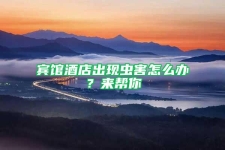 賓館酒店出現(xiàn)蟲害怎么辦？來幫你
