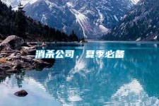 消殺公司，夏季必備