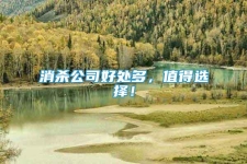 消殺公司好處多，值得選擇！