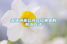 深圳消殺公司介紹潮蟲的防治方法