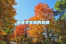 蟲害孳生物的處理