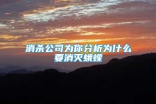 消殺公司為你分析為什么要消滅蛾蠓