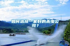 如何選擇一家好的殺蟲公司？