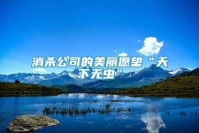 消殺公司的美麗愿望“天下無蟲”