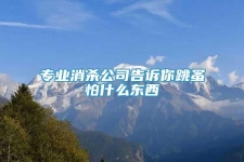 專業(yè)消殺公司告訴你跳蚤怕什么東西