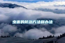 蟲(chóng)害的防治方法和辦法