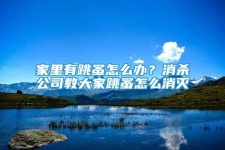家里有跳蚤怎么辦？消殺公司教大家跳蚤怎么消滅