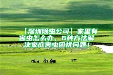 【深圳除蟲公司】家里有害蟲怎么辦，6種方法解決家庭害蟲困擾問題！